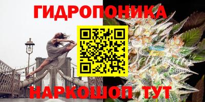 гидра Новокубанск