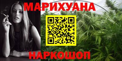 гидра Новокубанск