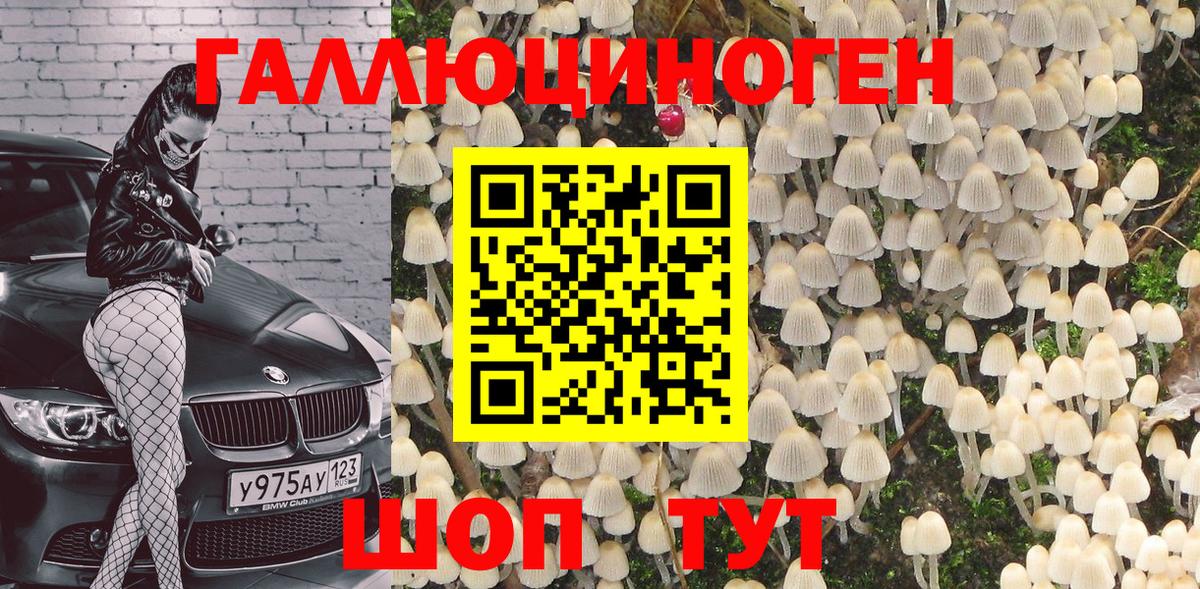 Северобайкальск  Галлюциногенные грибы прущие грибы  наркошоп  Вход с VPN  Псилоцибиновые грибы Magic Shrooms 
